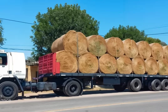 Empresa de logística en Argentina- Transporte Rodas-